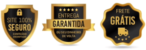 entrega_garantida_480x480_03c032c3-85fe-497f-90a7-62f50c26aa8d_480x480 (1)